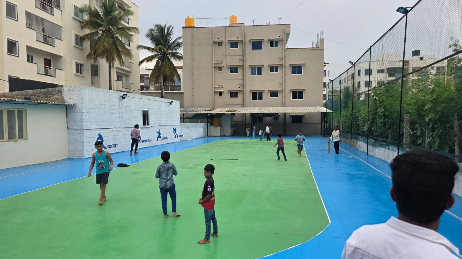 Cricket in Action